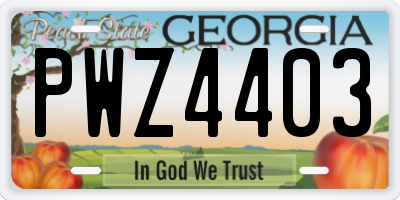 GA license plate PWZ4403