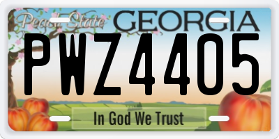 GA license plate PWZ4405