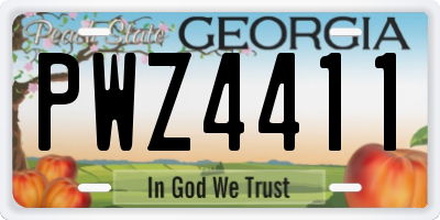 GA license plate PWZ4411