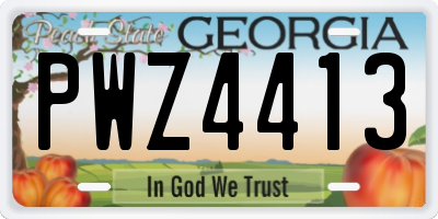GA license plate PWZ4413
