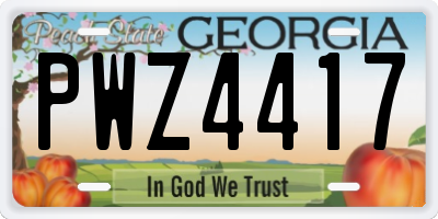 GA license plate PWZ4417