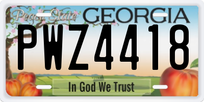 GA license plate PWZ4418