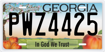 GA license plate PWZ4425