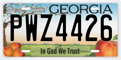GA license plate PWZ4426