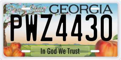 GA license plate PWZ4430