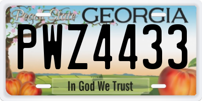 GA license plate PWZ4433