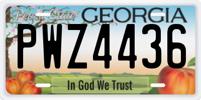 GA license plate PWZ4436