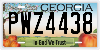 GA license plate PWZ4438
