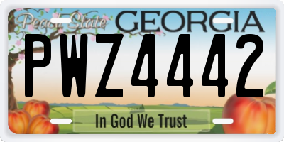 GA license plate PWZ4442