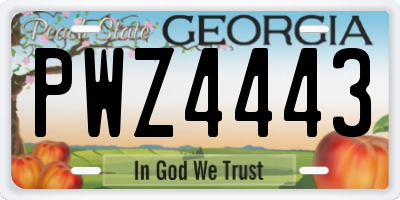GA license plate PWZ4443