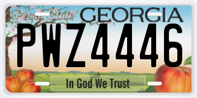 GA license plate PWZ4446