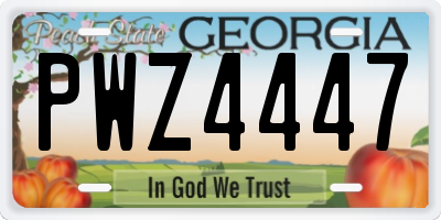 GA license plate PWZ4447
