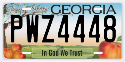 GA license plate PWZ4448