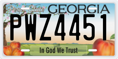 GA license plate PWZ4451