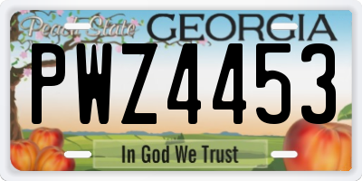GA license plate PWZ4453