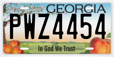 GA license plate PWZ4454