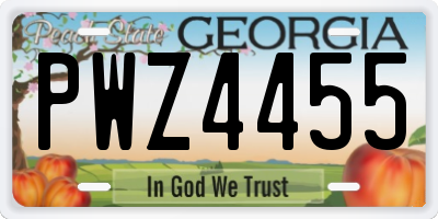 GA license plate PWZ4455