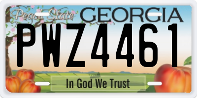 GA license plate PWZ4461