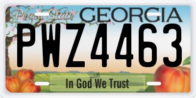GA license plate PWZ4463