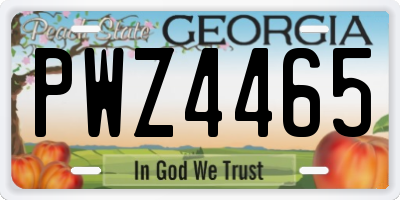 GA license plate PWZ4465