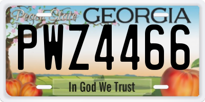 GA license plate PWZ4466