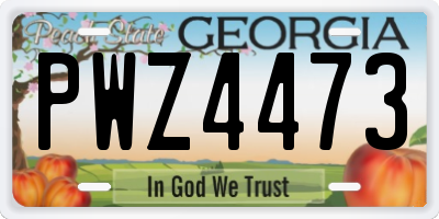 GA license plate PWZ4473
