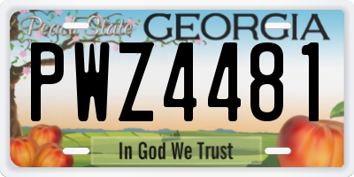 GA license plate PWZ4481