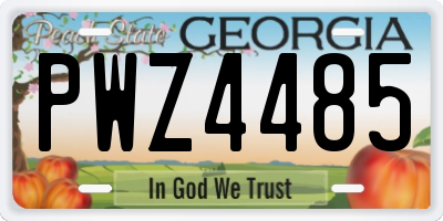 GA license plate PWZ4485