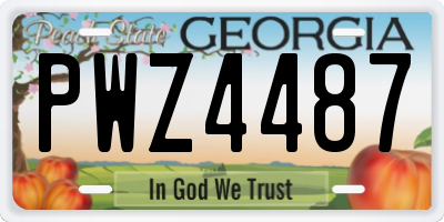 GA license plate PWZ4487