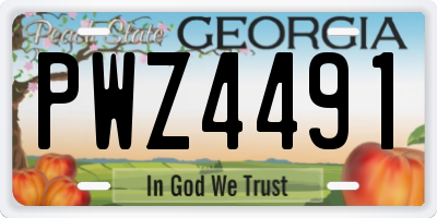 GA license plate PWZ4491