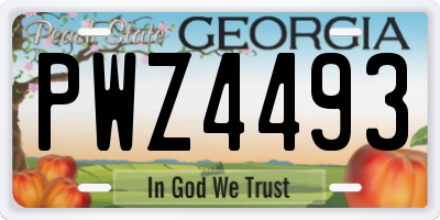 GA license plate PWZ4493