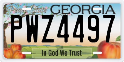 GA license plate PWZ4497