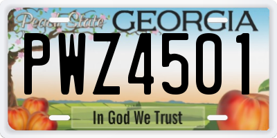 GA license plate PWZ4501