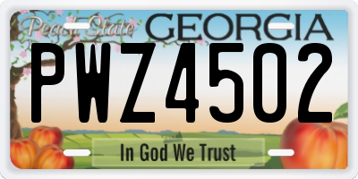 GA license plate PWZ4502