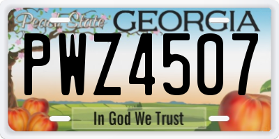 GA license plate PWZ4507