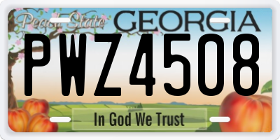 GA license plate PWZ4508