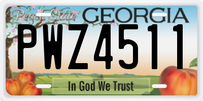 GA license plate PWZ4511