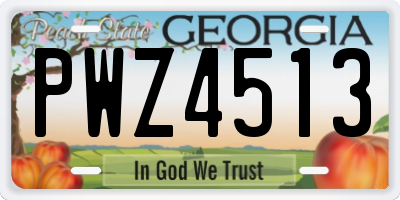 GA license plate PWZ4513