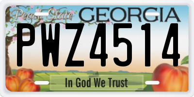 GA license plate PWZ4514