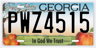 GA license plate PWZ4515