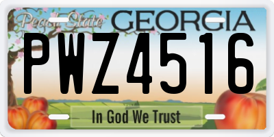 GA license plate PWZ4516