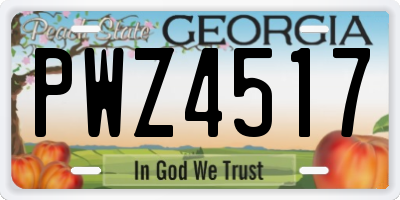 GA license plate PWZ4517