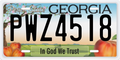 GA license plate PWZ4518