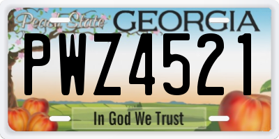 GA license plate PWZ4521