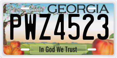 GA license plate PWZ4523