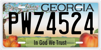 GA license plate PWZ4524