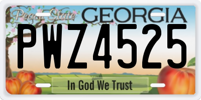 GA license plate PWZ4525