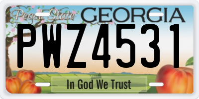 GA license plate PWZ4531