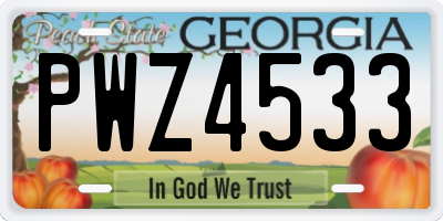 GA license plate PWZ4533