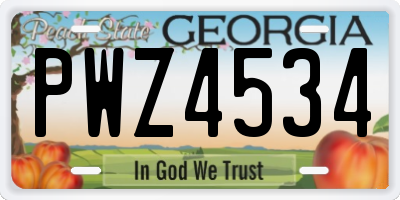 GA license plate PWZ4534